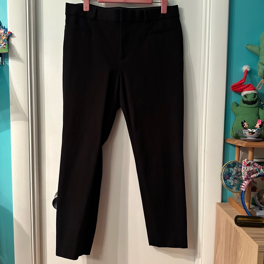 EUC Banana Republic Petite Sloan Pants